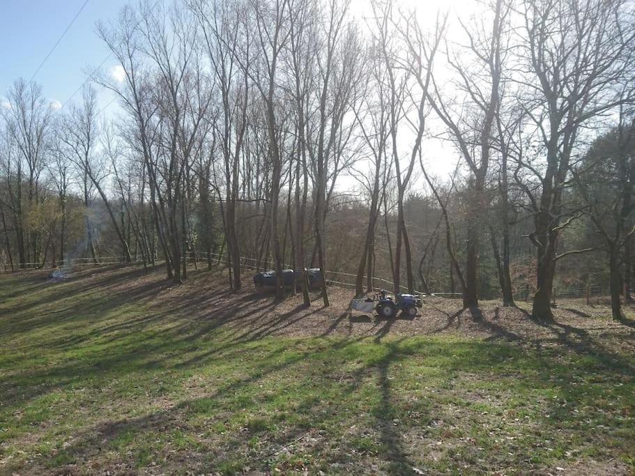 Location Meublee Au Milieu D'Un Ecrin De Verdure Aux Vieux Fours Noaillac 외부 사진