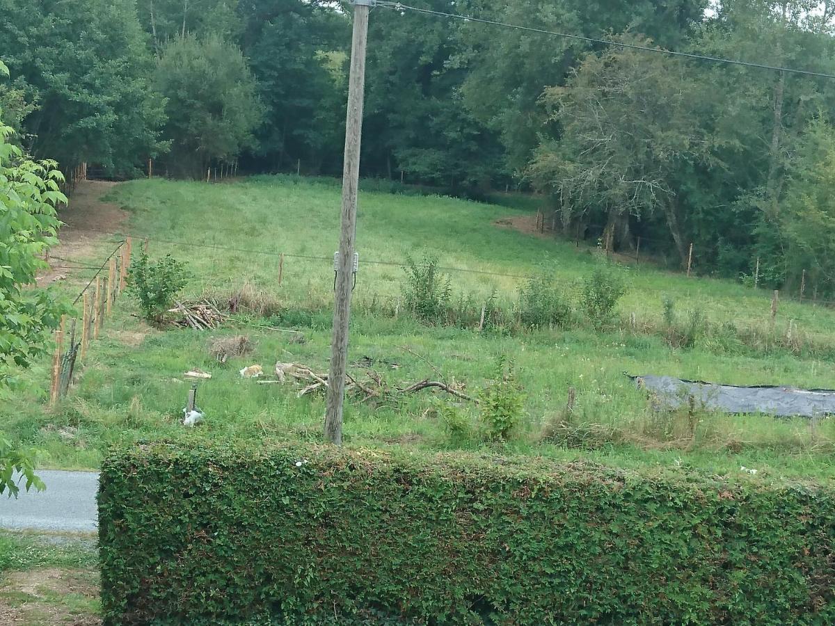 Location Meublee Au Milieu D'Un Ecrin De Verdure Aux Vieux Fours Noaillac 외부 사진